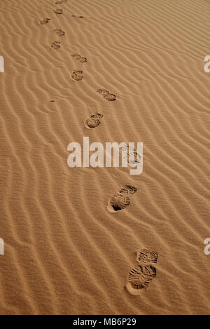 Fußspuren im Sand der Namib Stockfoto