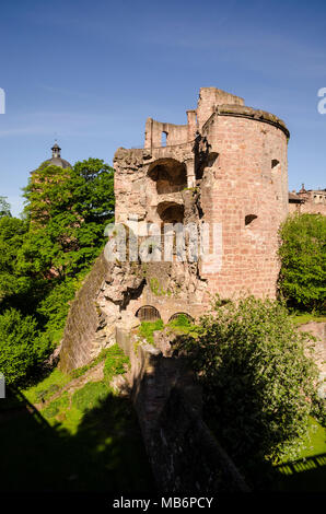 Schloss, Heidelberg, Baden-Württemberg, Deutschland, Europa Stockfoto