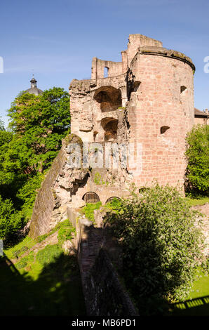 Schloss, Heidelberg, Baden-Württemberg, Deutschland, Europa Stockfoto