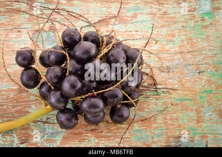 Acai Frucht, Frucht der amazonischen Ursprungs sind viele medizinische Eigenschaften zugeschrieben Stockfoto