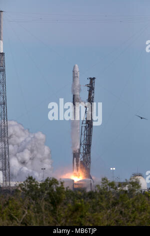 Eine SpaceX Falcon 9 Rakete Durchführung der Drache resupply Raumfahrzeug Knalle weg vom Weltraum aus komplexen 40 Start in Cape Canaveral Air Force Station April 2, 2018 in Cape Canaveral, Florida. Die 14 SpaceX commercial resupply Services Mission für die NASA, liefert, Verbrauchsmaterial, Geräte und neue Experimente für die Forschung auf der Raumstation. Stockfoto