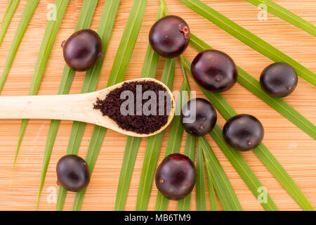 Acai Frucht, Frucht der amazonischen Ursprungs sind viele medizinische Eigenschaften zugeschrieben Stockfoto