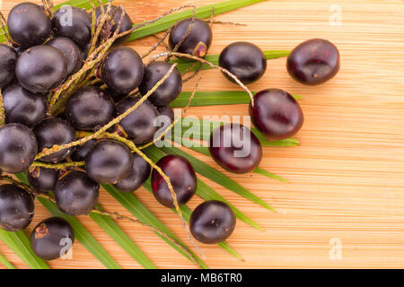 Acai Frucht, Frucht der amazonischen Ursprungs sind viele medizinische Eigenschaften zugeschrieben Stockfoto