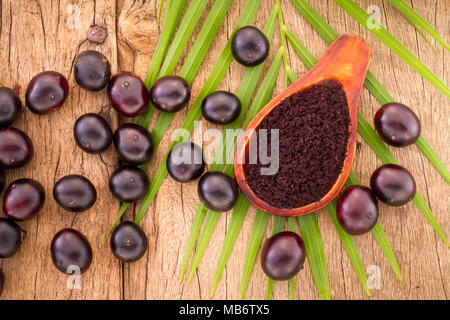 Acai Frucht, Frucht der amazonischen Ursprungs sind viele medizinische Eigenschaften zugeschrieben Stockfoto