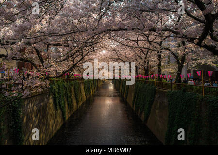 Tokyo, Japan - 28. März 2018: Menschen zu Fuß und in Nakameguro Kanal für die Sehenswürdigkeiten sakura Cherry Blossom Festival in voller Blüte des Frühlings genießen s Stockfoto