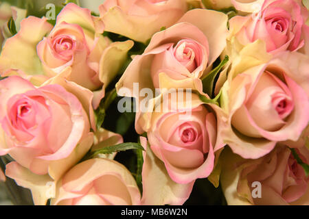Blumenstrauß aus Rosen Stockfoto