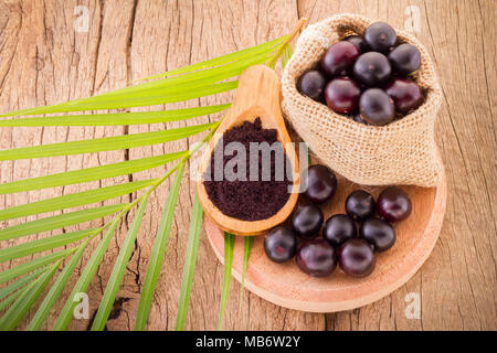 Acai Frucht, Frucht der amazonischen Ursprungs sind viele medizinische Eigenschaften zugeschrieben Stockfoto