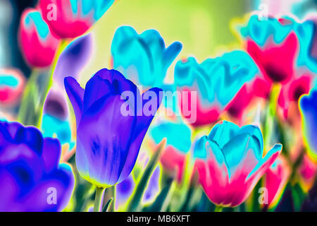 Neon abstrakte Tulpen. Fantastisch bunte Blumen, modernen Hintergrund Stockfoto