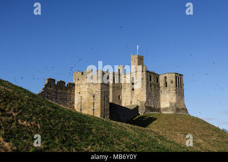 Warkworth Castle, Warkworth Northumberland Stockfoto