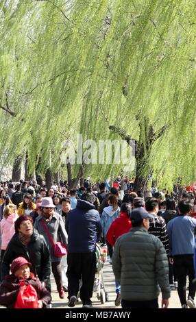 Peking, China. 7 Apr, 2018. Touristen besuchen Sie den Sommerpalast in Peking, der Hauptstadt von China, April 7, 2018. Am letzten Tag der Qingming Festival Urlaub, viele Menschen kamen zu den Sommerpalast Feder Aussicht zu genießen. Credit: Chen Yehua/Xinhua/Alamy leben Nachrichten Stockfoto