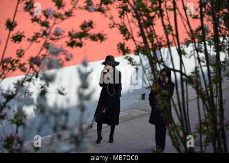 Peking, Peking, China. 7 Apr, 2018. Peking, China bis 7. April 2018: Blumen blühen in der Verbotenen Stadt in Peking. Credit: SIPA Asien/ZUMA Draht/Alamy leben Nachrichten Stockfoto