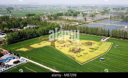 (180408) - NANJING, April 8, 2018 (Xinhua) - Luftaufnahme auf April 8, 2018 zeigt ein Muster der Drache Robe in einem Cole Blume Bereich in Changjiangyu Dorf in Nanjing, im Osten der chinesischen Provinz Jiangsu. (Xinhua/Li Bo) (Dhf) Stockfoto