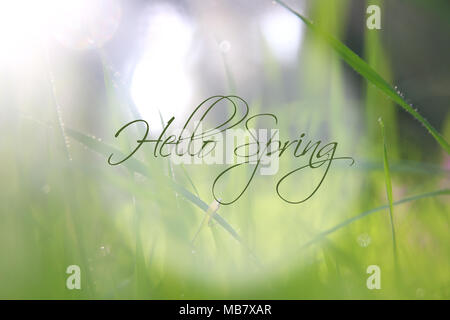 Low Angle View Bild von frischem Gras. Freiheit und Erneuerung Konzept mit Feder text Stockfoto