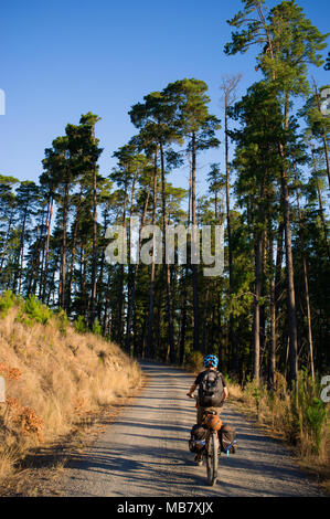 Ein Teenager reitet ein Mountainbike entlang einer Forststraße in einem Fahrrad Verpackung Abenteuer in Australien. Stockfoto