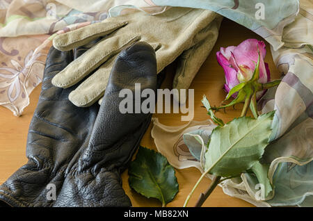 Poetische Komposition mit Handschuhen und eine Rose im Vintage-Look Stockfoto