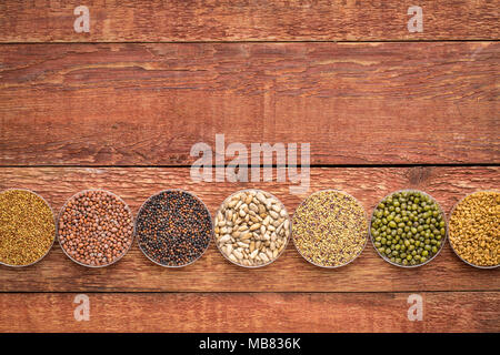 Bio Keimsprossen in Petrischalen auf rustikalen Scheune Holz, von links - Luzerne, Rettich, Brokkoli, Sonnenblumen, roter Klee, mung Bean, Bockshornklee. Stockfoto