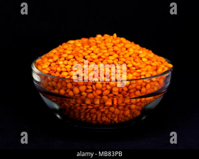 Red raw Linsen in einer Glasschale. Auf dem schwarzen Hintergrund isoliert Stockfoto