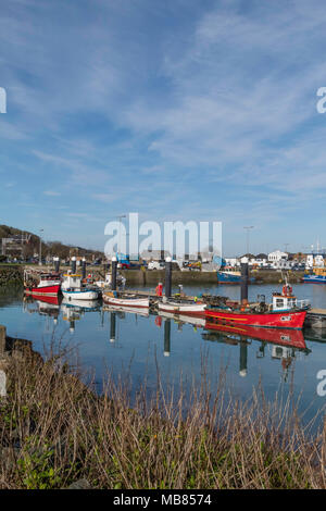 Bunte Fischerboote im Hafen Stockfoto