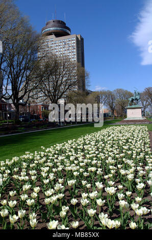 Ehemaliger Quebec City Loews Hotel Le Concorde im Sommer, Ansicht von Joan des Bogens Garten mit schönen weißen Blüten Stockfoto