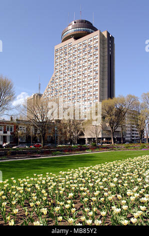 Ehemaliger Quebec City Loews Hotel Le Concorde im Sommer, Ansicht von Joan des Bogens Garten mit schönen weißen Blüten Stockfoto