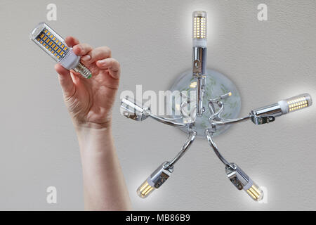 Die Hand hält eine Haushalt LED-Mais Lampe vor Einstellung in der Deckenbeleuchtung. Stockfoto