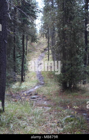 Fotos von Yellowstone und Grand Teton National Park Stockfoto