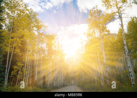 Sonnenlicht strahlt durch bunte Herbst Bäume über eine Schotterstraße in der Kolorado Berge Stockfoto