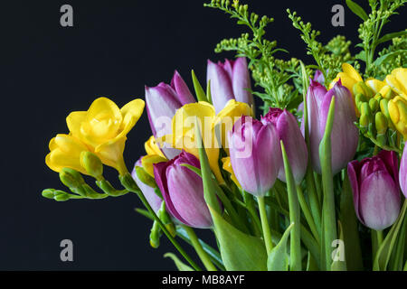 Nahaufnahme eines Frühlingsbouquets gelber Freesien und rosafarbener Tulpen vor schwarzem Hintergrund in Großbritannien Stockfoto