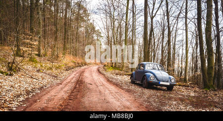 Ein alter Käfer parken in einem Wald in der Nähe von Trippstadt Stockfoto