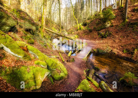 Winter Morgen im Karlstal bei Trippstadt Stockfoto
