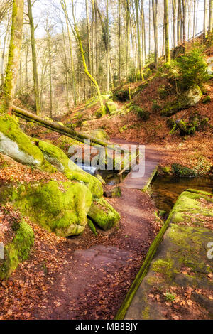 Winter Morgen im Karlstal bei Trippstadt Stockfoto