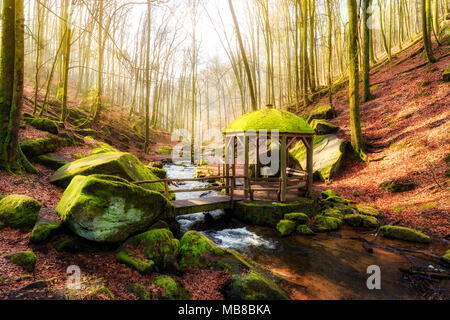 Winter Morgen im Karlstal bei Trippstadt Stockfoto