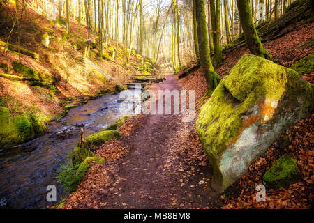 Winter Morgen im Karlstal bei Trippstadt Stockfoto