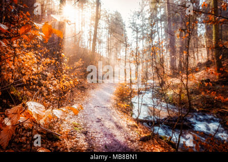 Winter Morgen im Karlstal bei Trippstadt Stockfoto