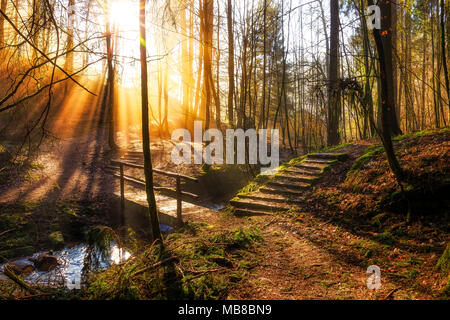 Winter Morgen im Karlstal bei Trippstadt Stockfoto