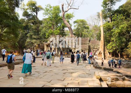 Kambodscha Touristen zum Ta Prohm Tempel, UNESCO-Weltkulturerbe Angkor, Kambodscha Asien Stockfoto