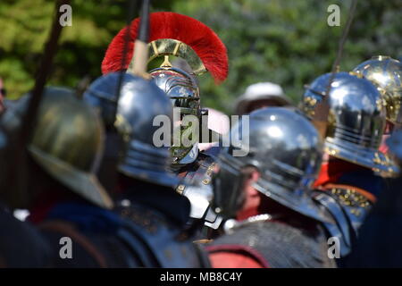 Römische Legionen das Setzen auf eine Anzeige an eboracum Festival von York Stockfoto