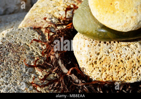 Stapel von Felsen. Pebbles sitzen auf Algen auf Felsen am Diamond Head NSW Australien Stockfoto