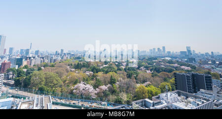 Luftaufnahme von Shinjuku Gyoen Garten im Frühjahr, Shinjuku, Tokyo, Japan Stockfoto