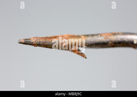 Ein rostiger Angelhaken, die für Seefischerei verwendet wurde, Dorset UK Stockfoto