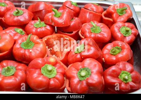 Süße Paprika mit Reis und Hackfleisch gefüllt Stockfoto