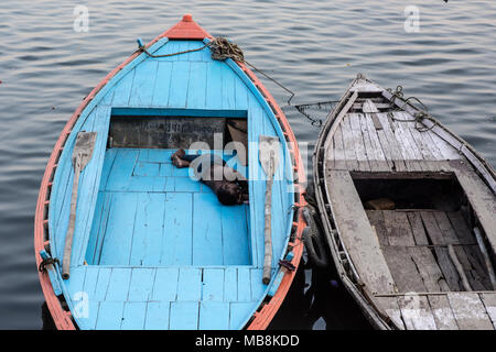 Bunte Reihe Boote aufgereiht auf dem Ganges in Varanasi, Indien Stockfoto