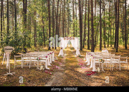 Schöne elegante Hochzeit Dekorationen für Zeremonie außerhalb im alten Wald mit riesigen Pinien. Horizontale Farbfotografie. Stockfoto