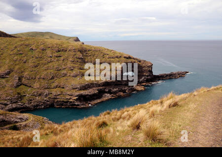 Pohatu Marine Reserve, die auf Flea Bay zentriert ist, liegt auf der SE Seite der Banks Halbinsel in der Nähe von Akaroa, South Island, Neuseeland. Stockfoto