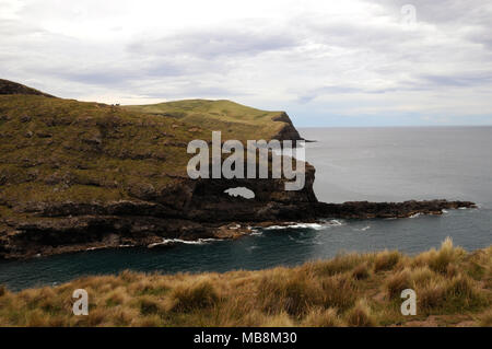 Pohatu Marine Reserve, die auf Flea Bay zentriert ist, liegt auf der SE Seite der Banks Halbinsel in der Nähe von Akaroa, South Island, Neuseeland. Stockfoto