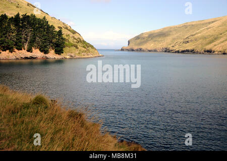 Pohatu Marine Reserve, die auf Flea Bay zentriert ist, liegt auf der SE Seite der Banks Halbinsel in der Nähe von Akaroa, South Island, Neuseeland. Stockfoto