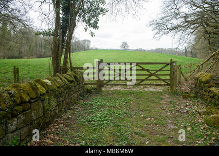 Mauer aus Stein und Holz- Tor in der englischen Landschaft Stockfoto