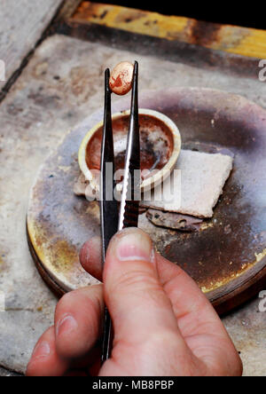 Juwelier Zange hält ein Stück geschmolzene und erstarrten Gold. Stockfoto