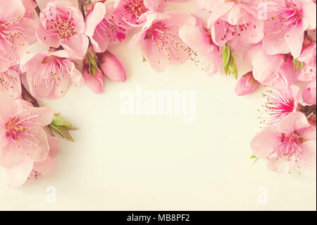 Rahmen der rosa Blüten, Zweigen, Blättern und lila Blüten auf weißem Hintergrund. Flach, Ansicht von oben Stockfoto