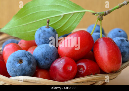 Nahaufnahme von heilenden und gesunden Carneol Kirschen und Blackthorn Beeren in einem Weidenkorb Stockfoto